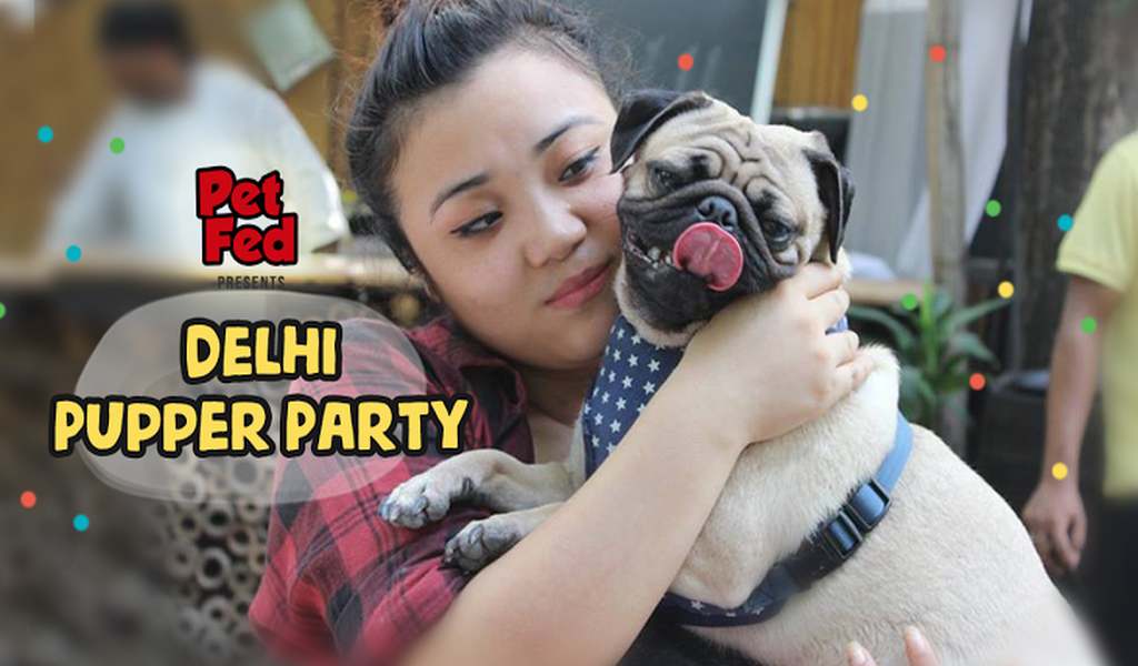 Calling out to all the puppers in town to have a thrilling party.